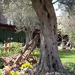Iliada Hotel 4*