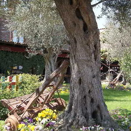 Iliada Hotel 4*