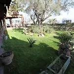 Iliada 4* Domje